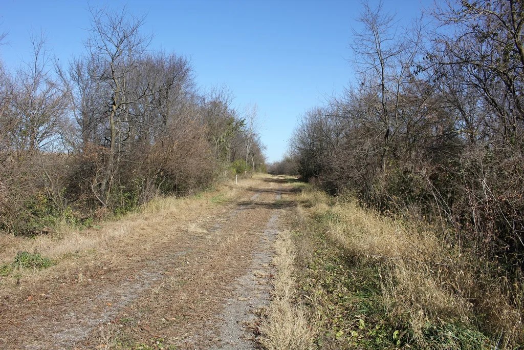 Abandoned Grand River Bridge (Arispe)